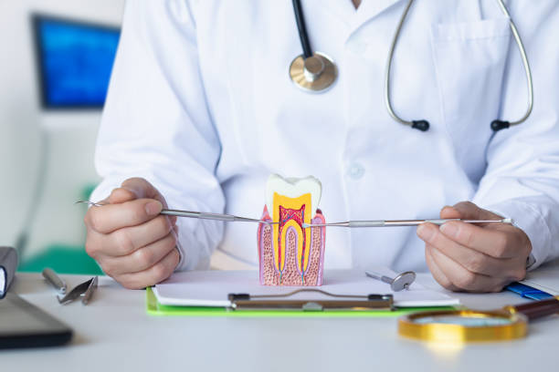 Best Emergency Broken Tooth Repair in Olean, NY